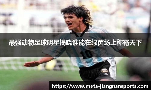 江南体育